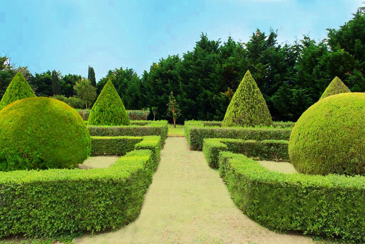 Villa Delle Lantane Mesagne Exterior foto